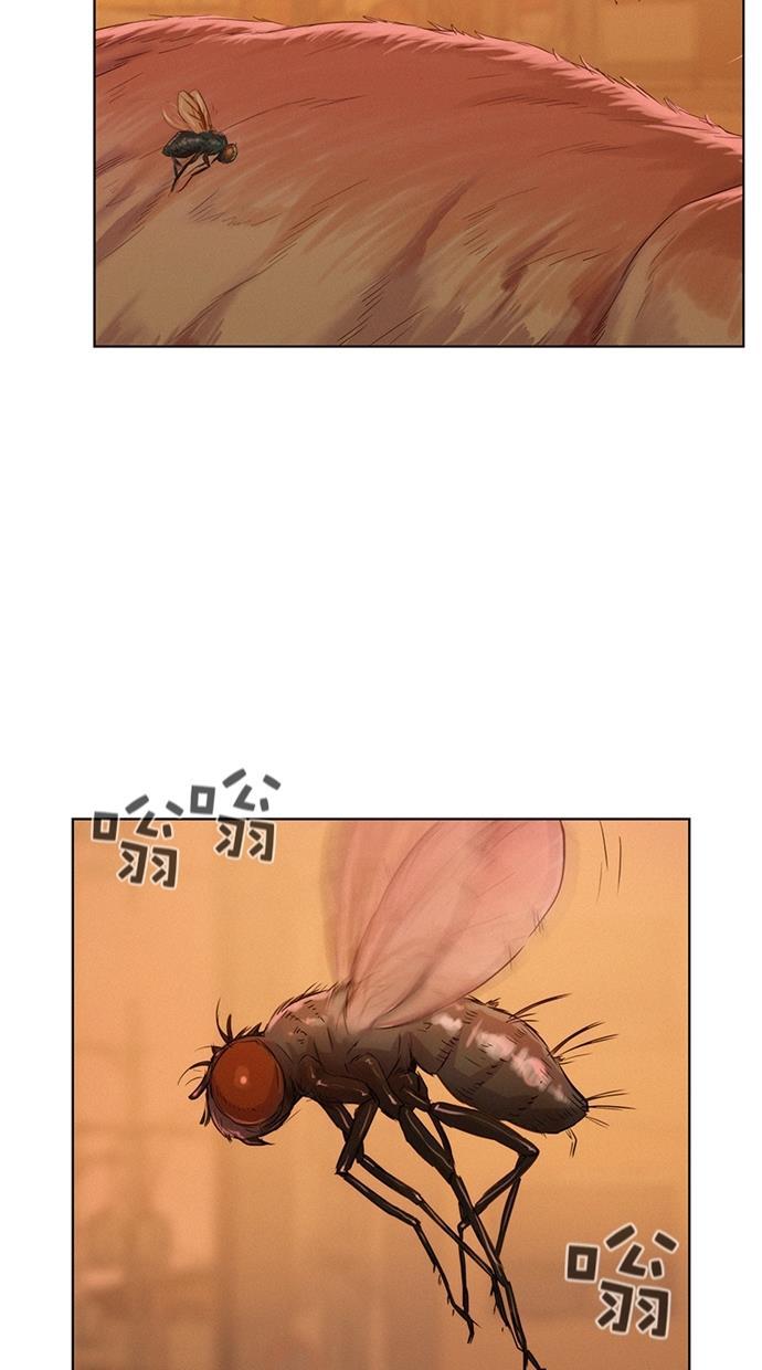 凌乱的漫画铺韩漫全集-第13话无删减无遮挡章节图片 