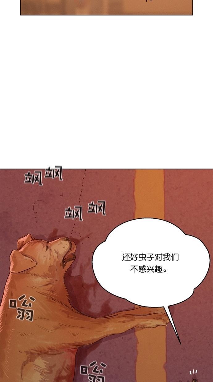 凌乱的漫画铺韩漫全集-第13话无删减无遮挡章节图片 