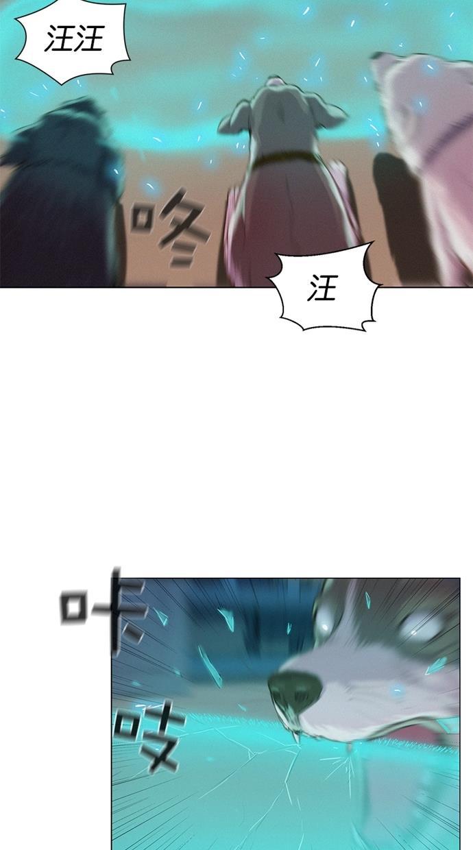 凌乱的漫画铺韩漫全集-第21话无删减无遮挡章节图片 