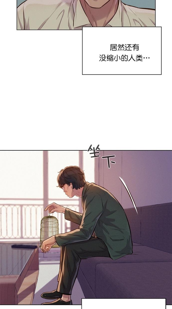 凌乱的漫画铺韩漫全集-第27话无删减无遮挡章节图片 