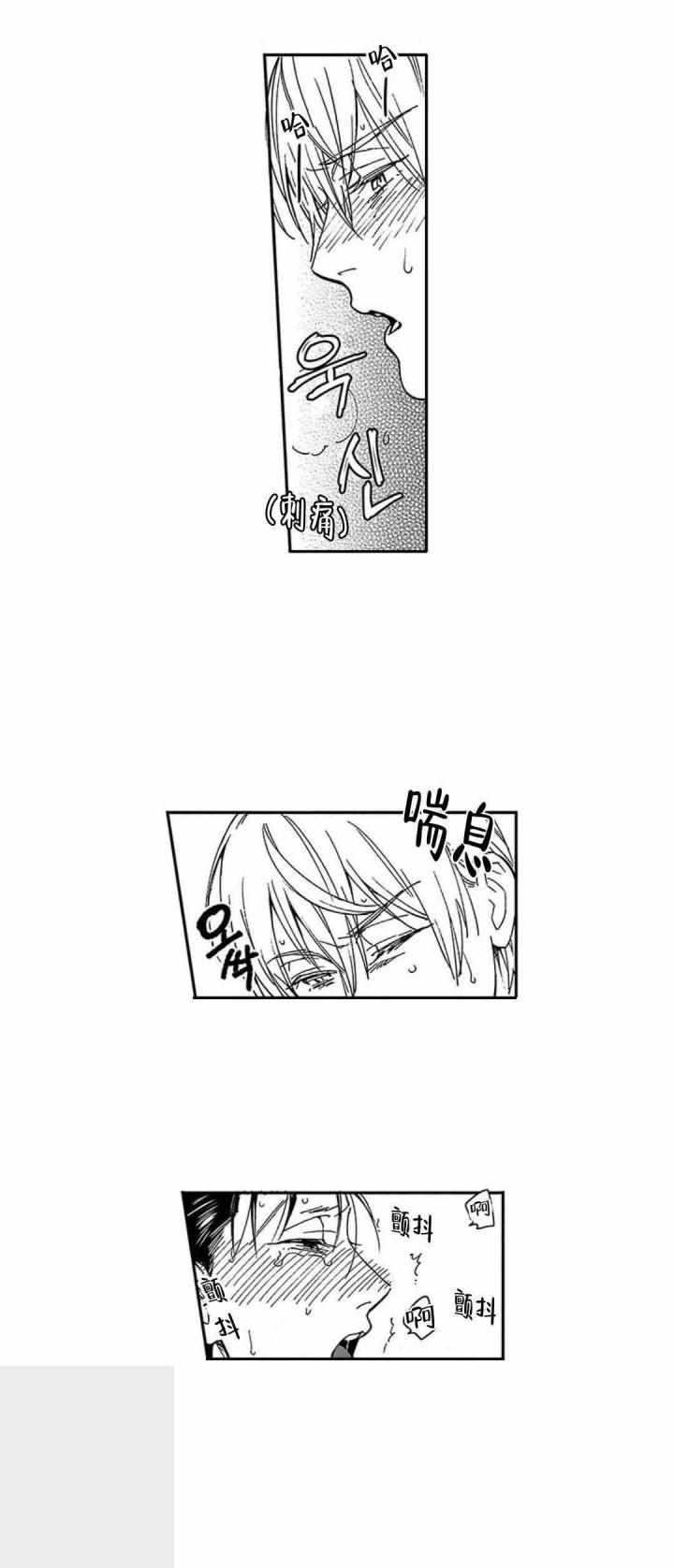 斗破苍穹漫画下载韩漫全集-11_第11话 11话无删减无遮挡章节图片 