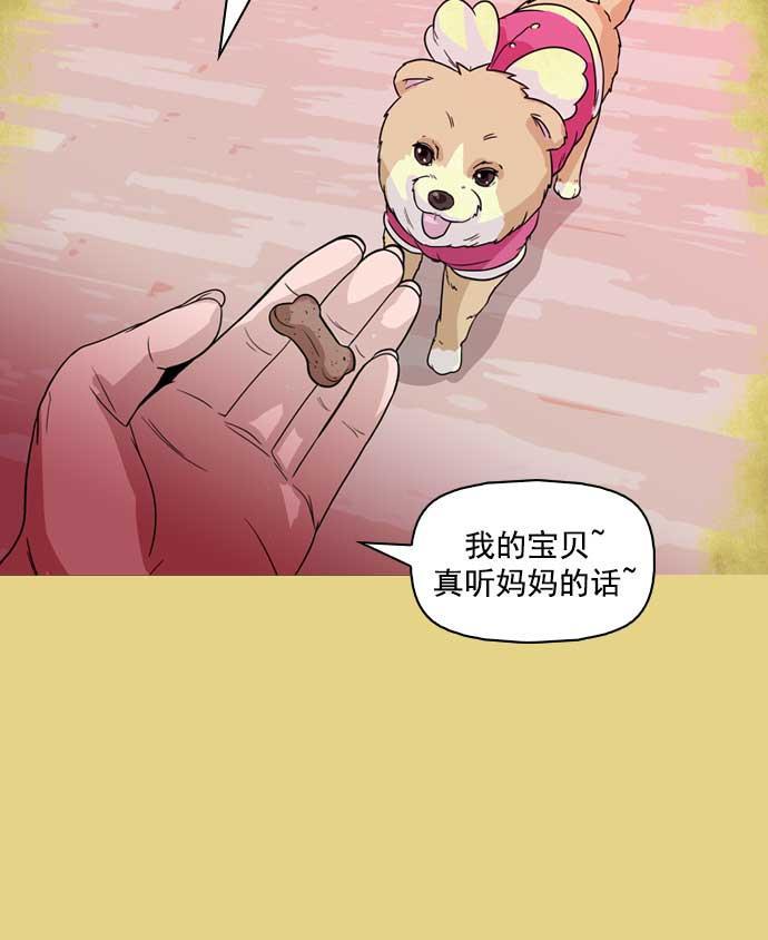 秘密教学漫画韩漫全集-第17话无删减无遮挡章节图片 