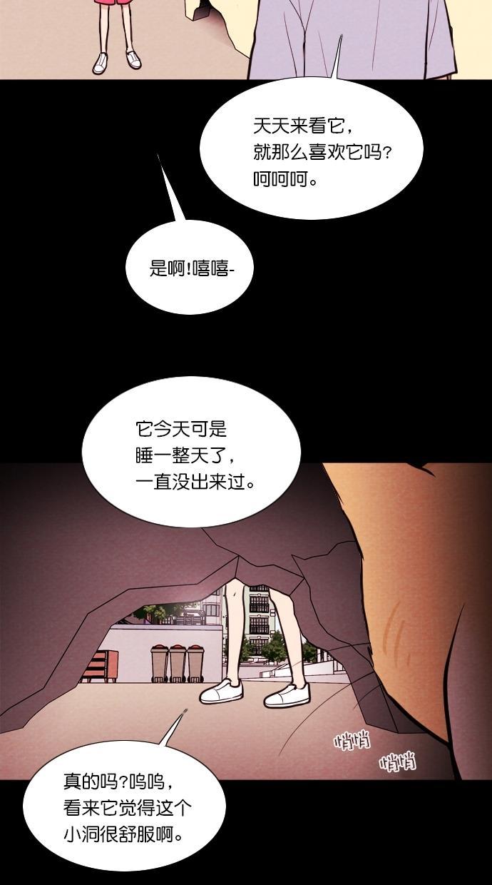代价贩卖机韩漫全集-[第71话] 流浪猫（1）无删减无遮挡章节图片 