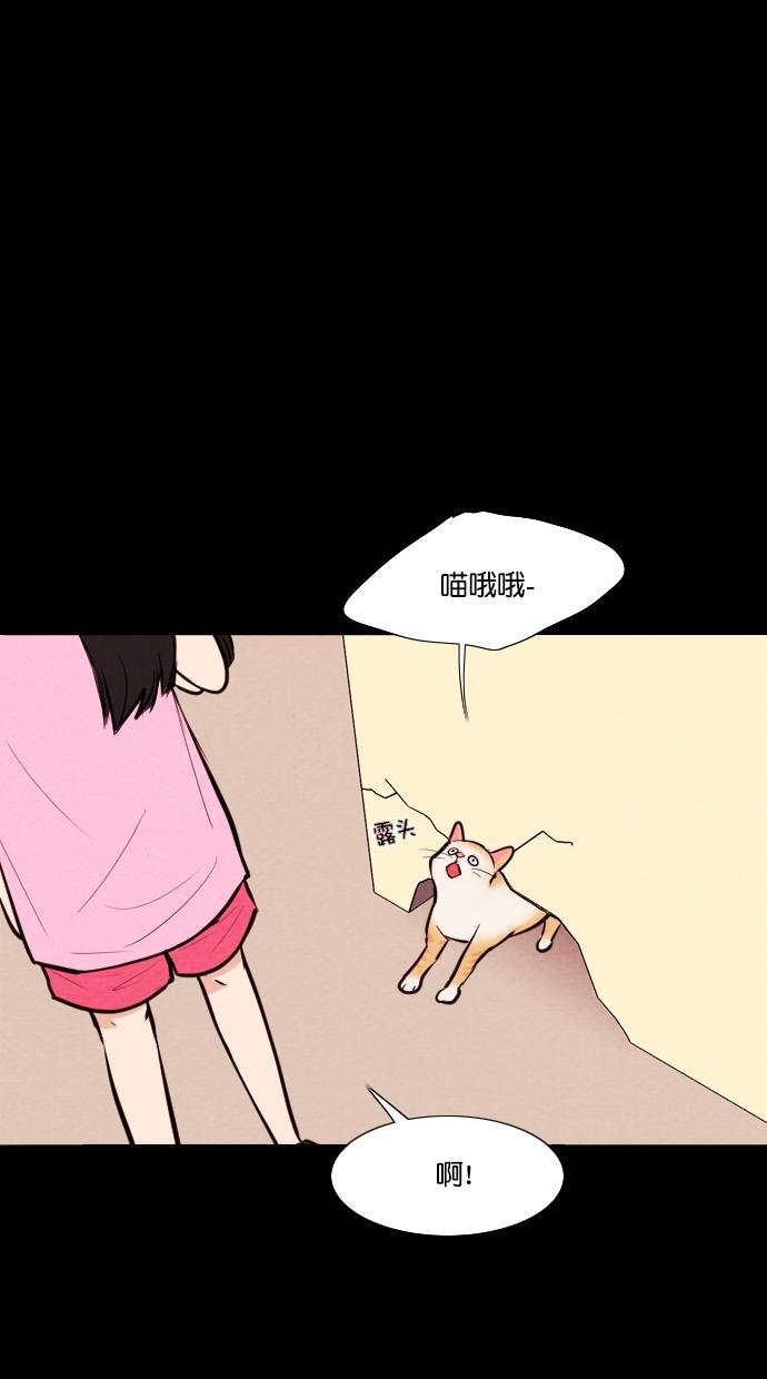 代价贩卖机韩漫全集-[第71话] 流浪猫（1）无删减无遮挡章节图片 