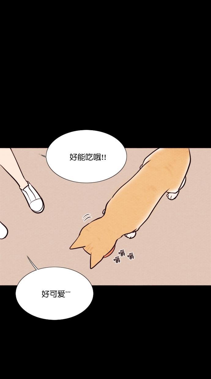 代价贩卖机韩漫全集-[第71话] 流浪猫（1）无删减无遮挡章节图片 