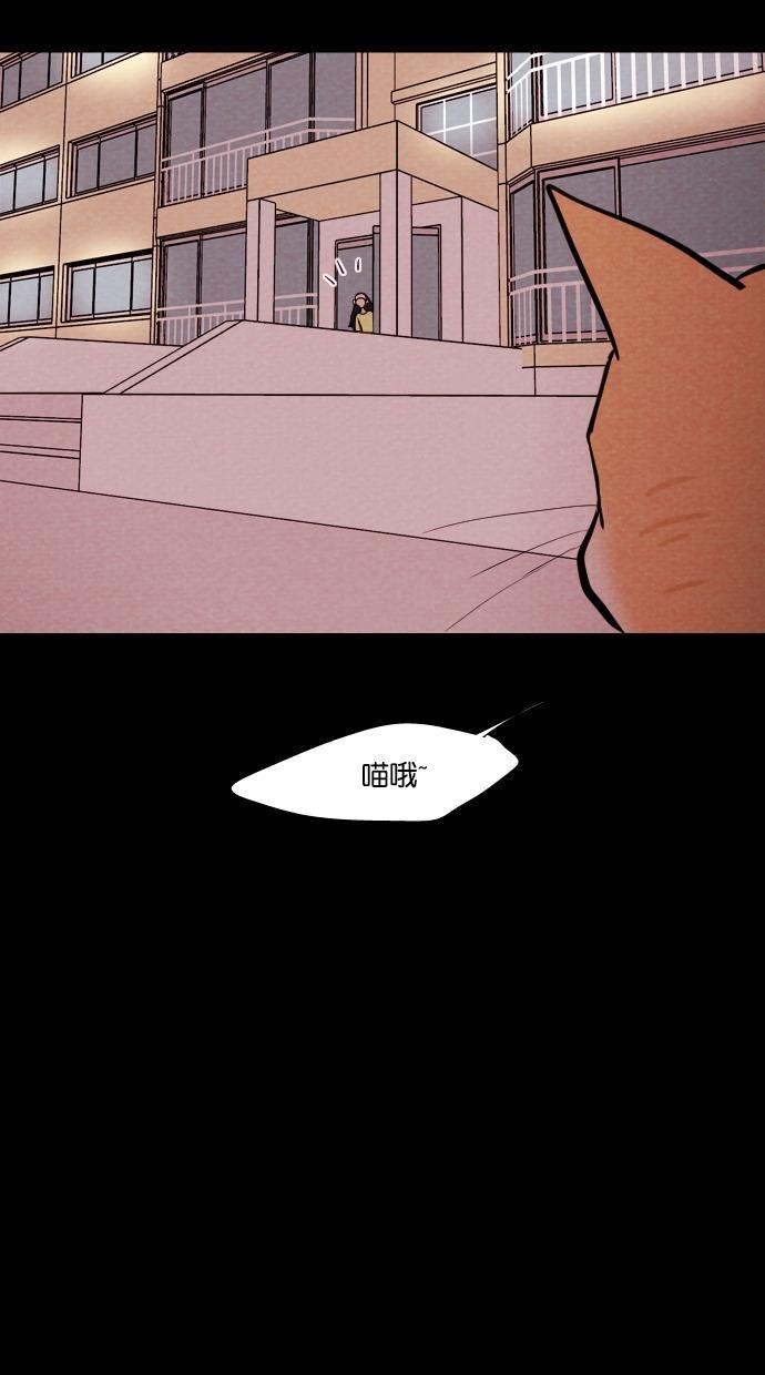 代价贩卖机韩漫全集-[第71话] 流浪猫（1）无删减无遮挡章节图片 