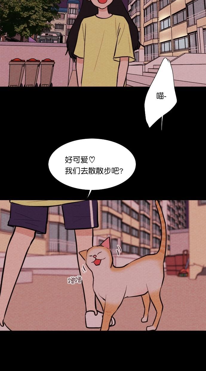 代价贩卖机韩漫全集-[第71话] 流浪猫（1）无删减无遮挡章节图片 