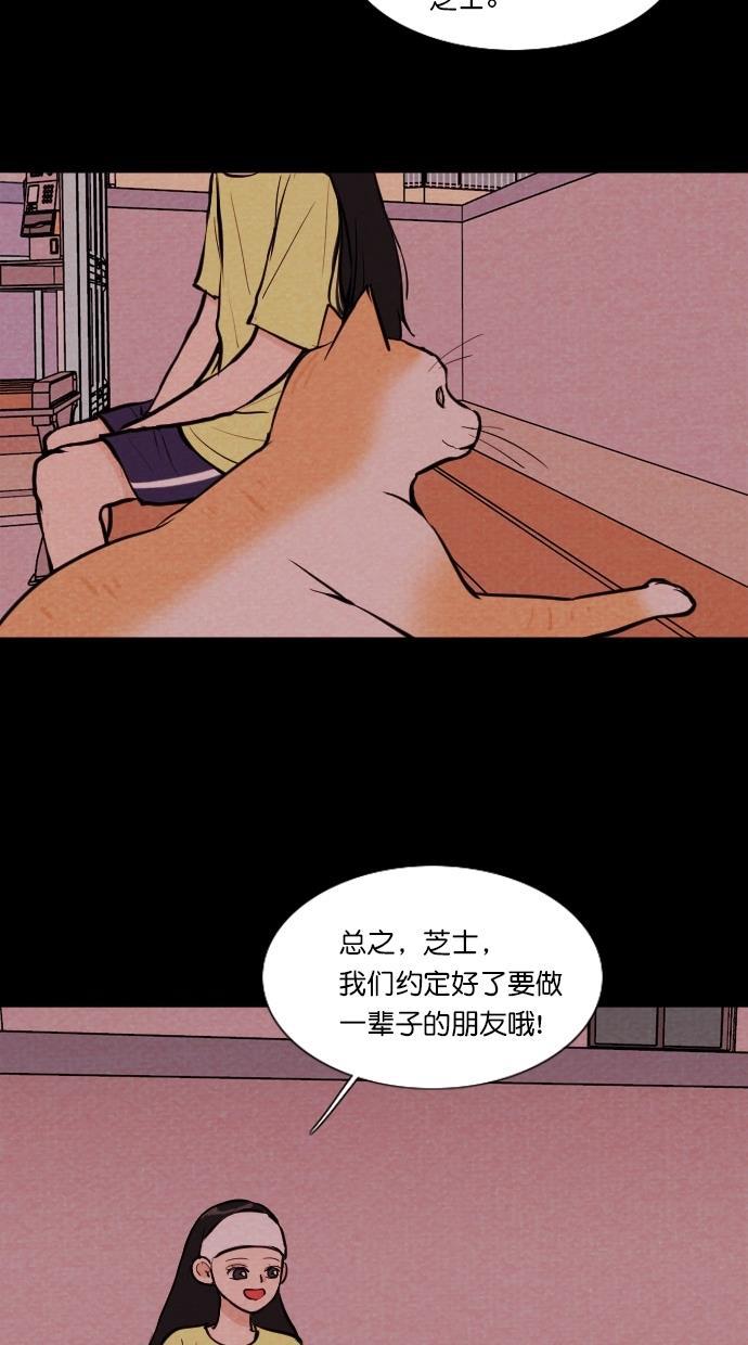 代价贩卖机韩漫全集-[第71话] 流浪猫（1）无删减无遮挡章节图片 