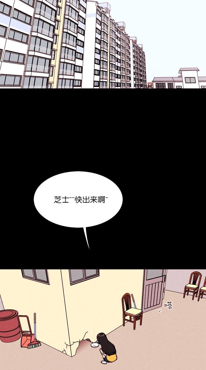 代价贩卖机韩漫全集-[第71话] 流浪猫（1）无删减无遮挡章节图片 