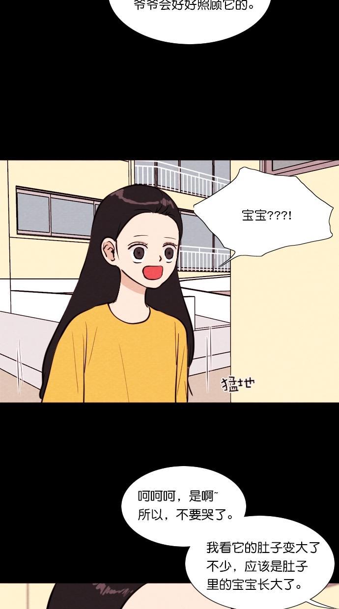 代价贩卖机韩漫全集-[第71话] 流浪猫（1）无删减无遮挡章节图片 