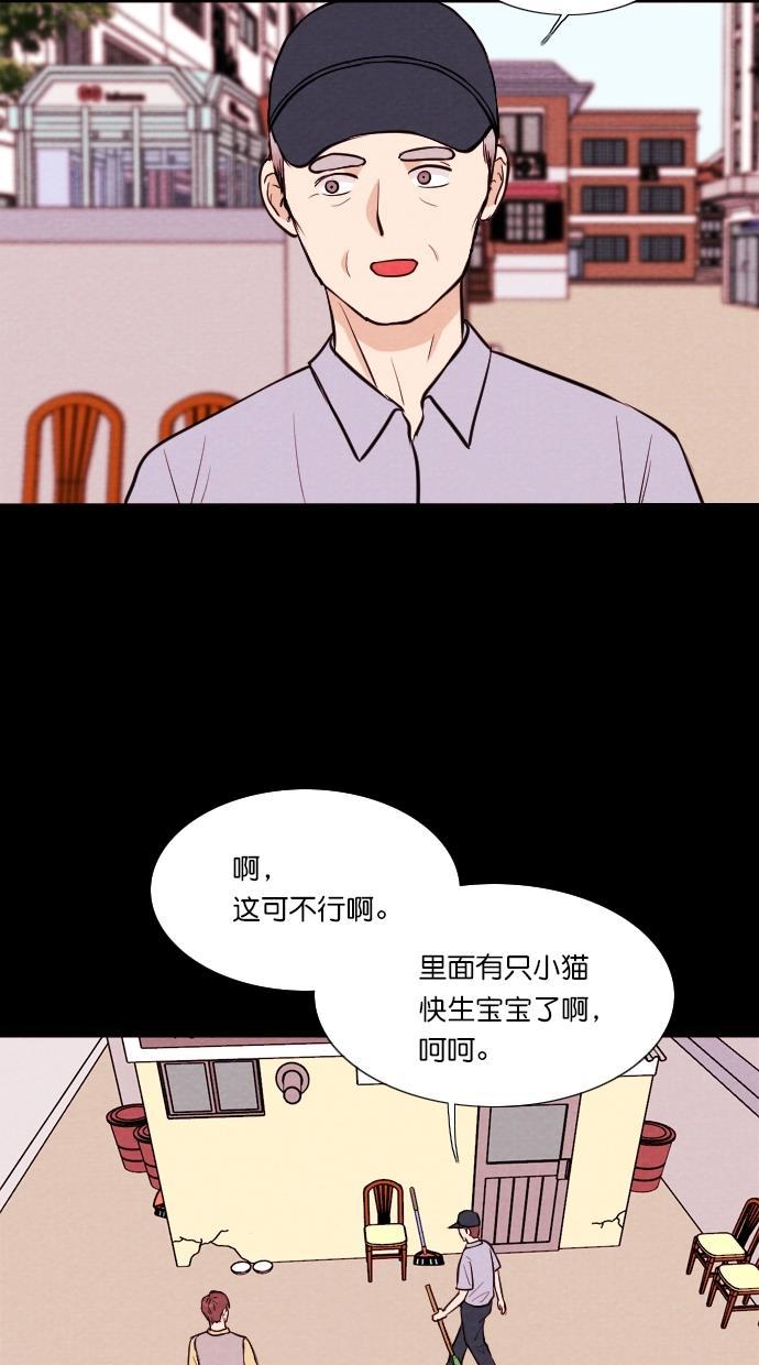 代价贩卖机韩漫全集-[第71话] 流浪猫（1）无删减无遮挡章节图片 