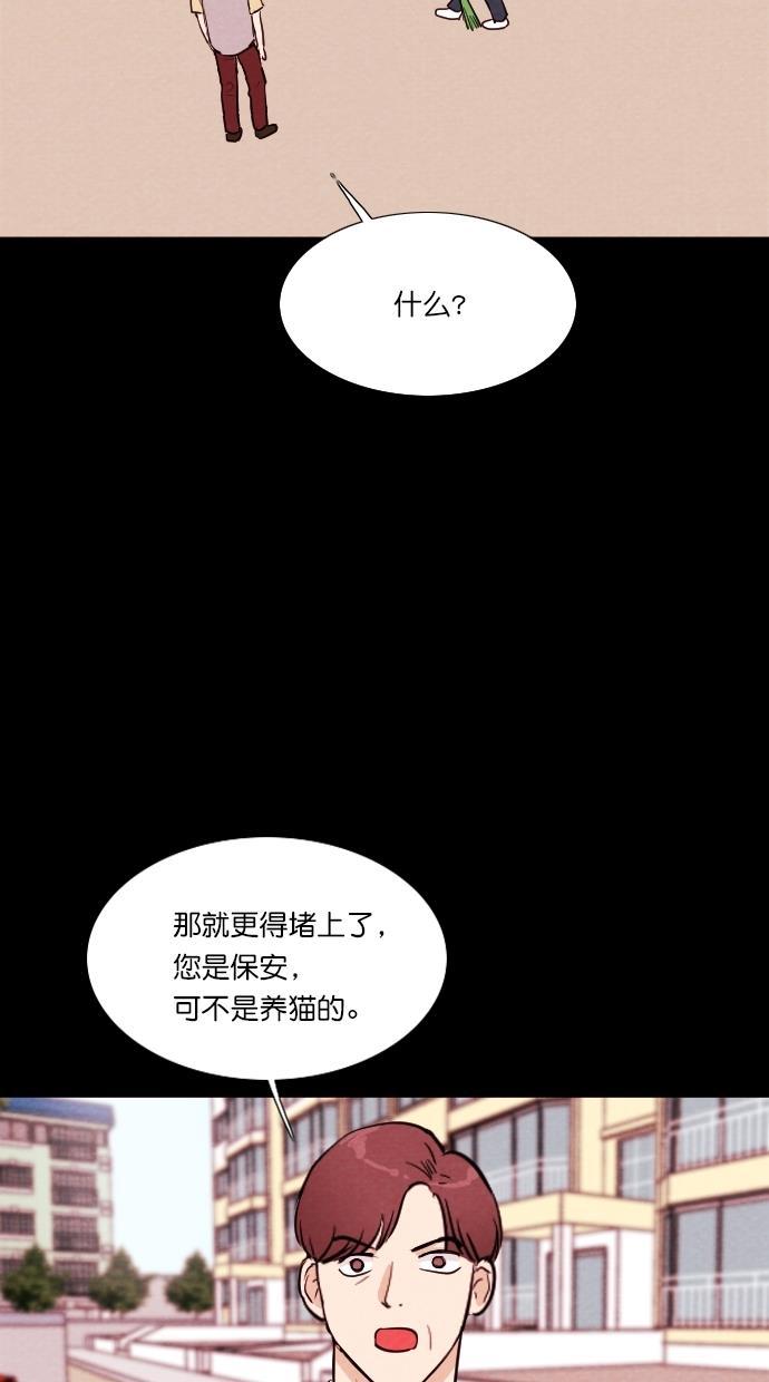 代价贩卖机韩漫全集-[第71话] 流浪猫（1）无删减无遮挡章节图片 