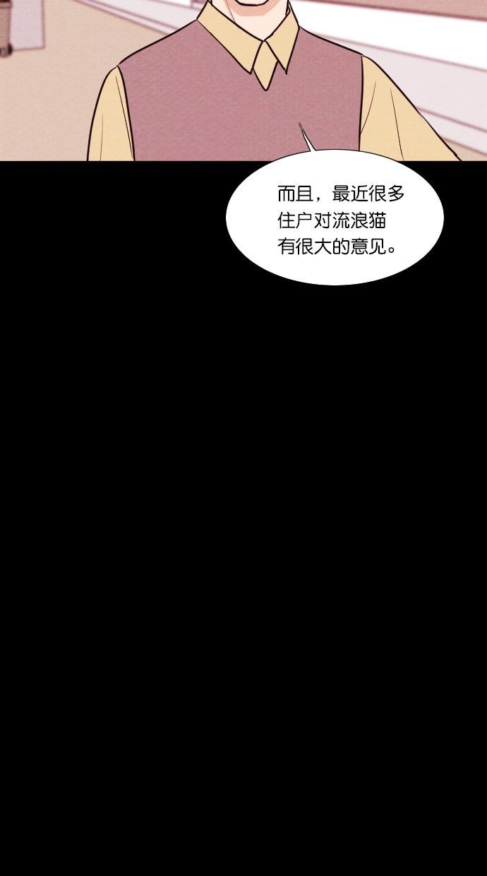 代价贩卖机韩漫全集-[第71话] 流浪猫（1）无删减无遮挡章节图片 