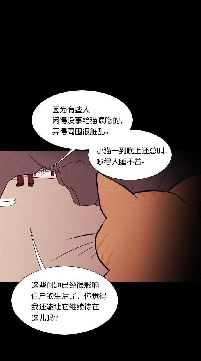 代价贩卖机韩漫全集-[第72话] 流浪猫（2）无删减无遮挡章节图片 