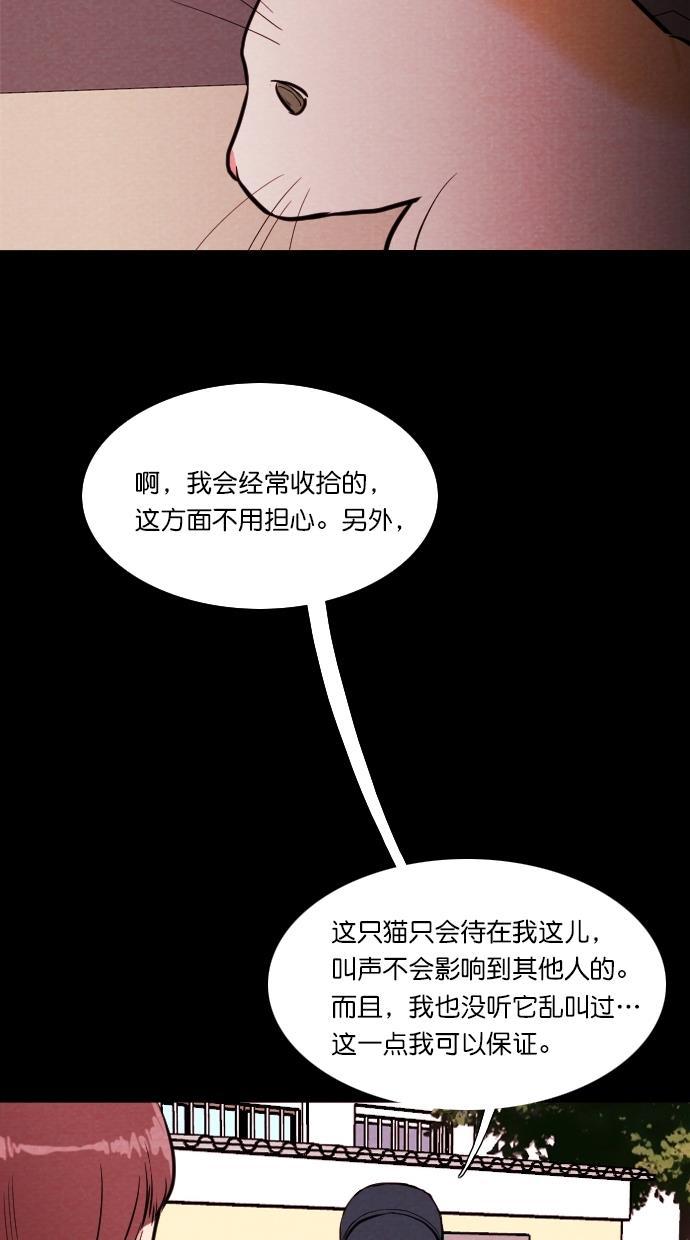 代价贩卖机韩漫全集-[第72话] 流浪猫（2）无删减无遮挡章节图片 