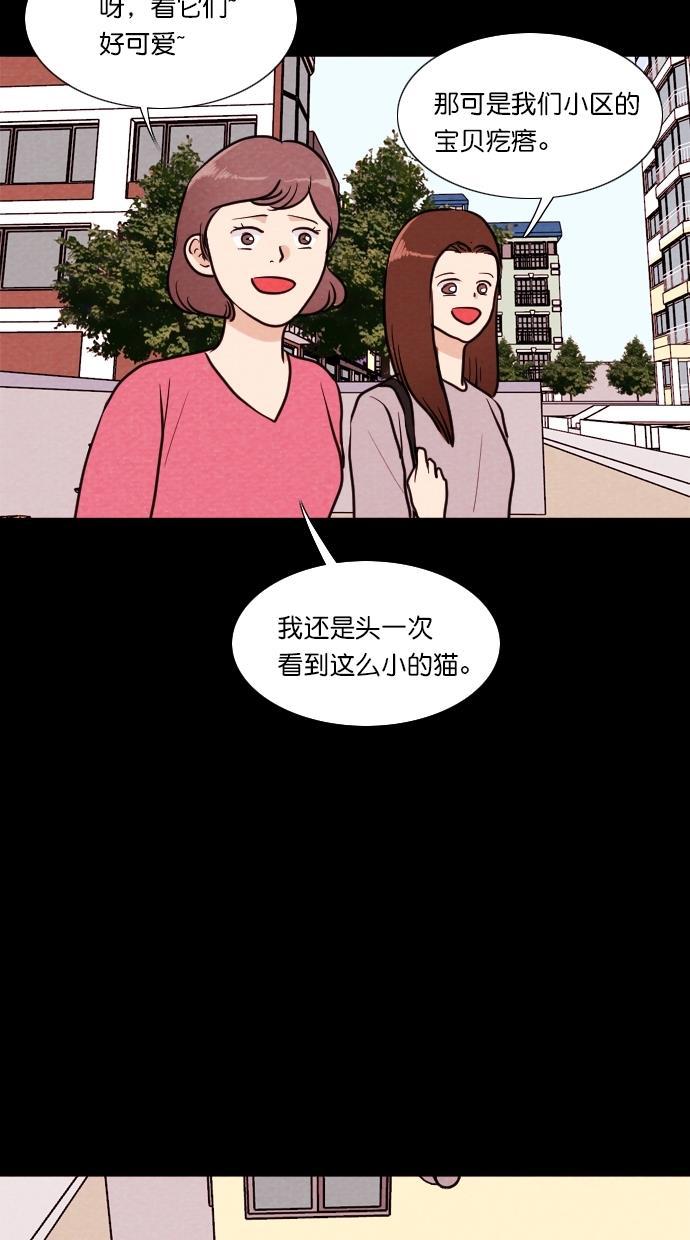 代价贩卖机韩漫全集-[第72话] 流浪猫（2）无删减无遮挡章节图片 