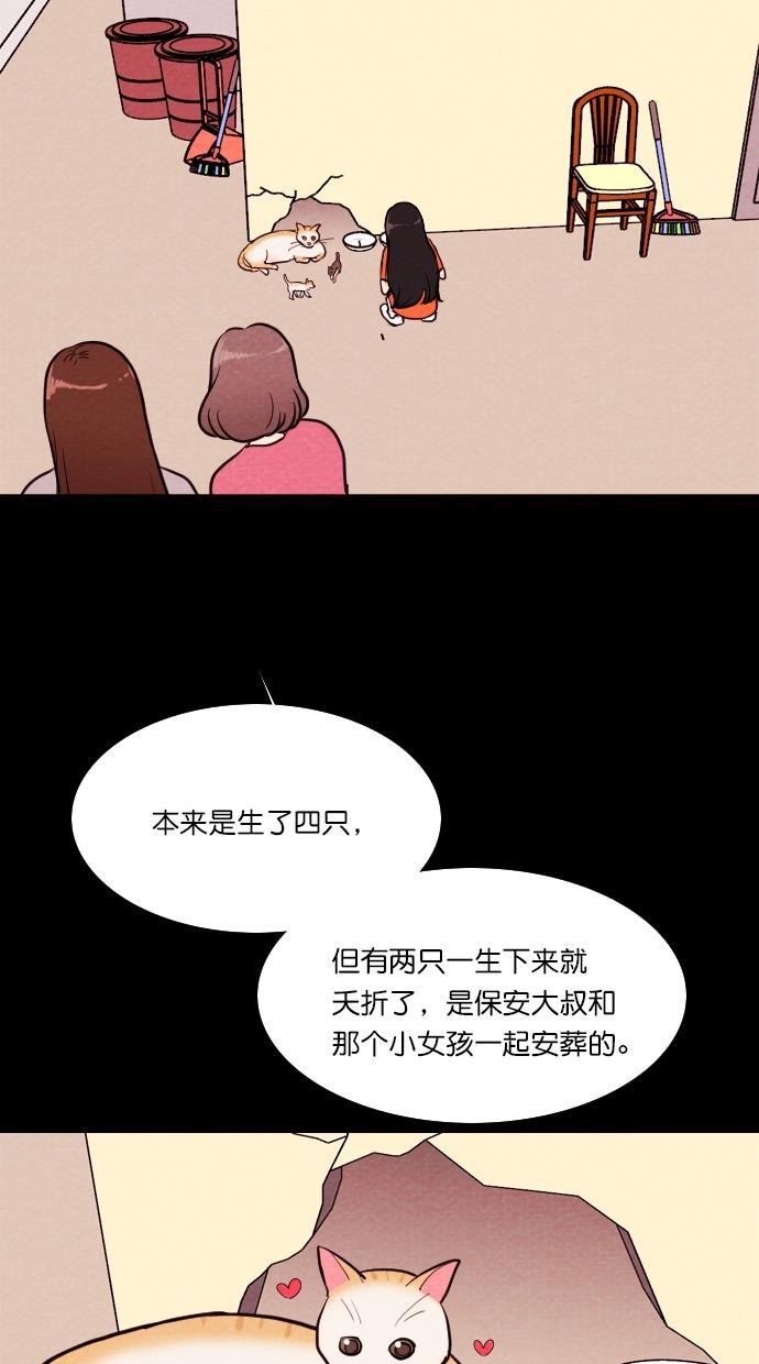 代价贩卖机韩漫全集-[第72话] 流浪猫（2）无删减无遮挡章节图片 