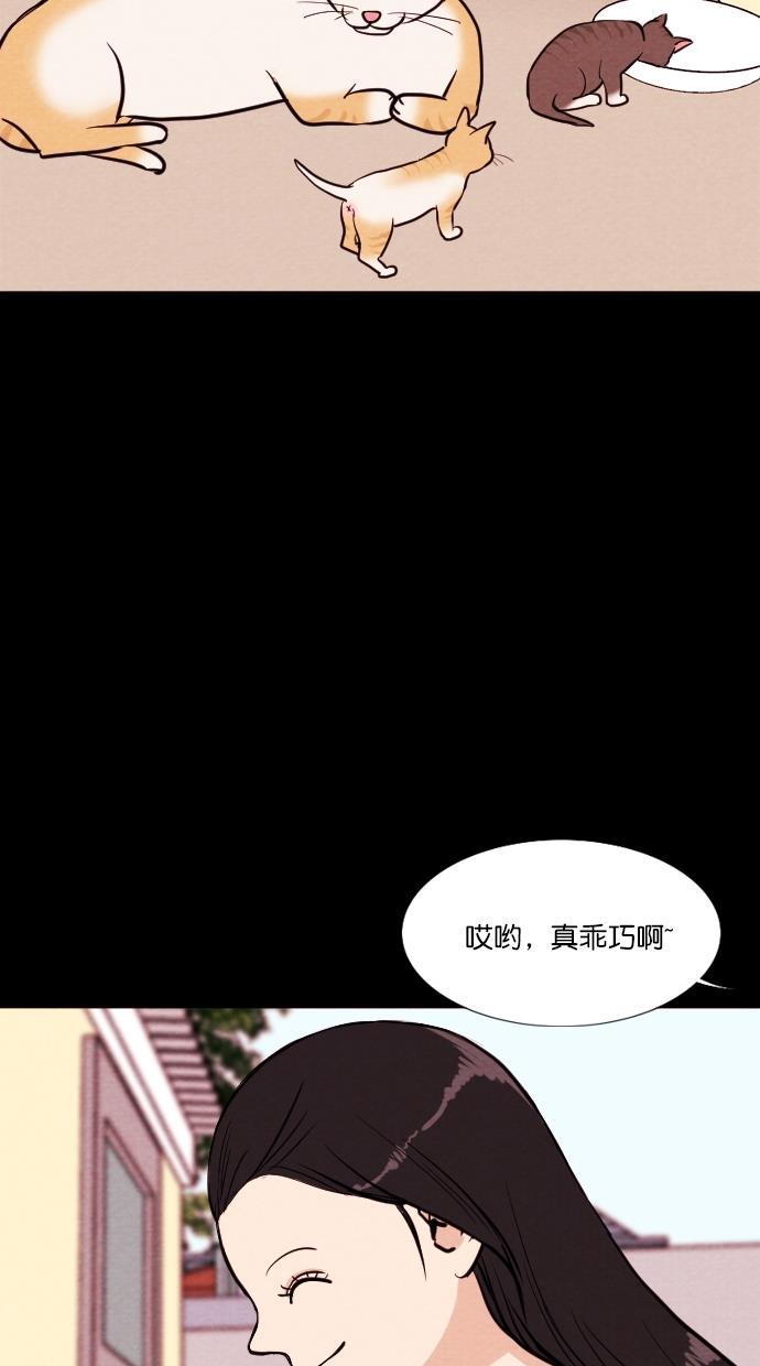 代价贩卖机韩漫全集-[第72话] 流浪猫（2）无删减无遮挡章节图片 