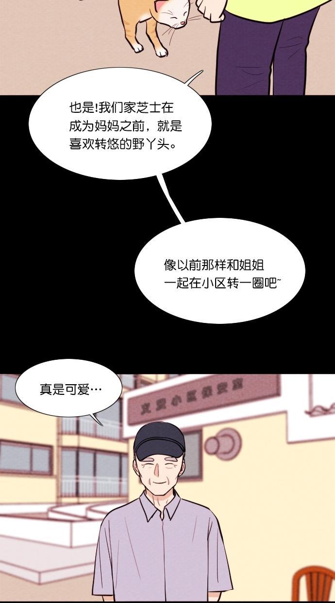 代价贩卖机韩漫全集-[第72话] 流浪猫（2）无删减无遮挡章节图片 