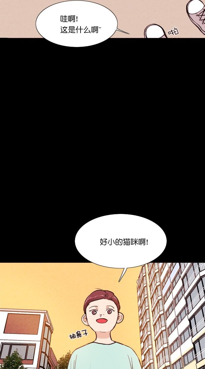 代价贩卖机韩漫全集-[第72话] 流浪猫（2）无删减无遮挡章节图片 