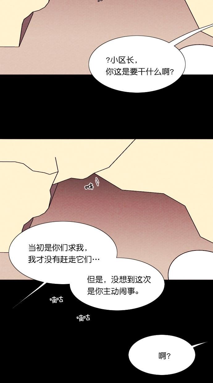 代价贩卖机韩漫全集-[第72话] 流浪猫（2）无删减无遮挡章节图片 