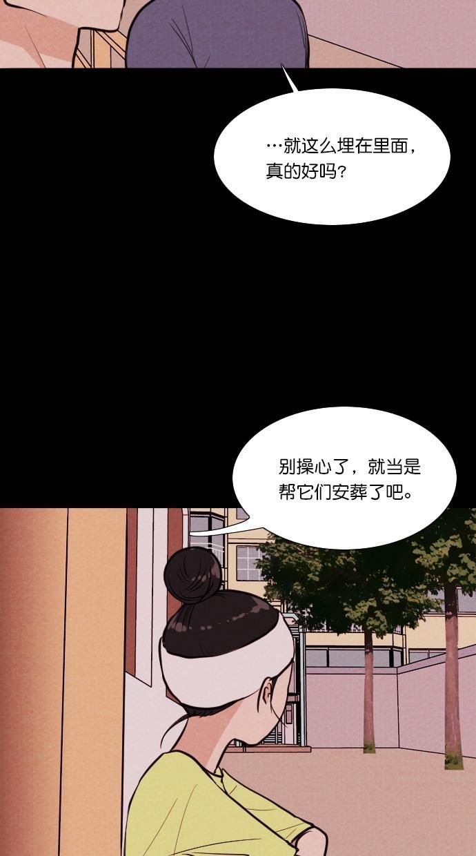 代价贩卖机韩漫全集-[第73话] 流浪猫（3）无删减无遮挡章节图片 