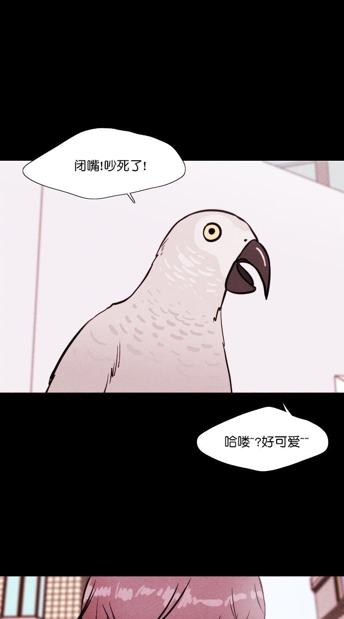 代价贩卖机韩漫全集-[第81话] 鹦鹉人（1）无删减无遮挡章节图片 