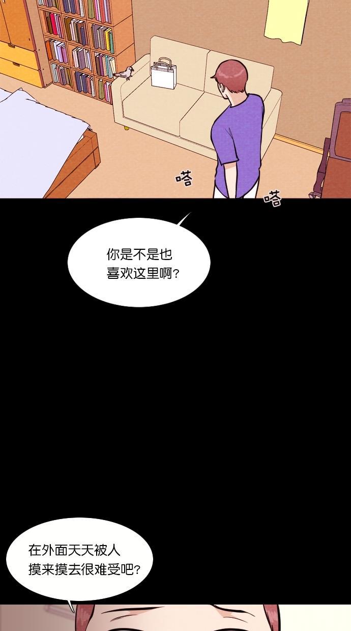 代价贩卖机韩漫全集-[第81话] 鹦鹉人（1）无删减无遮挡章节图片 