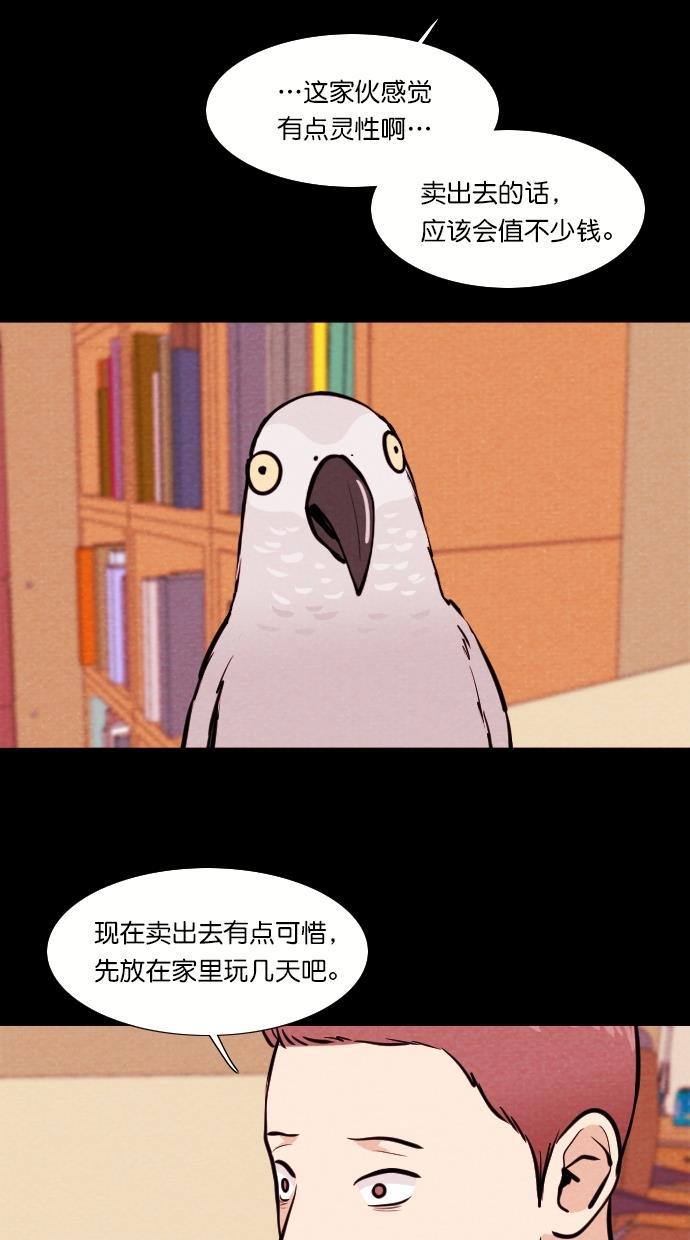 代价贩卖机韩漫全集-[第81话] 鹦鹉人（1）无删减无遮挡章节图片 