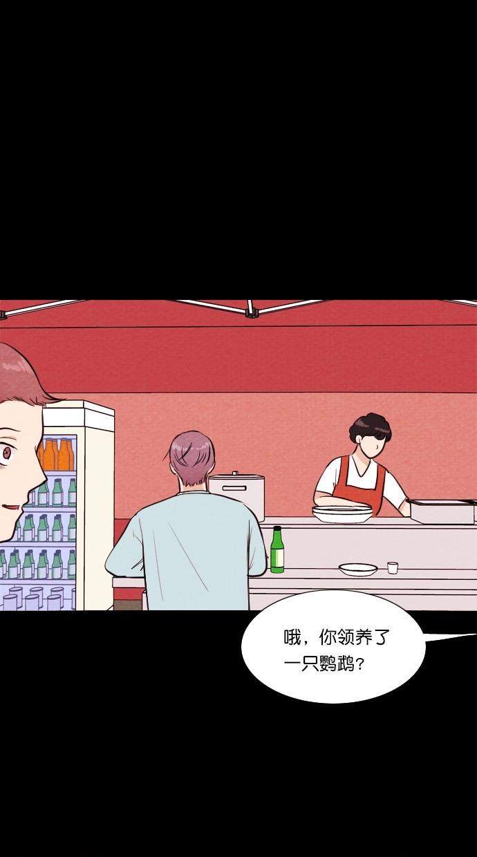 代价贩卖机韩漫全集-[第82话] 鹦鹉人（2）无删减无遮挡章节图片 