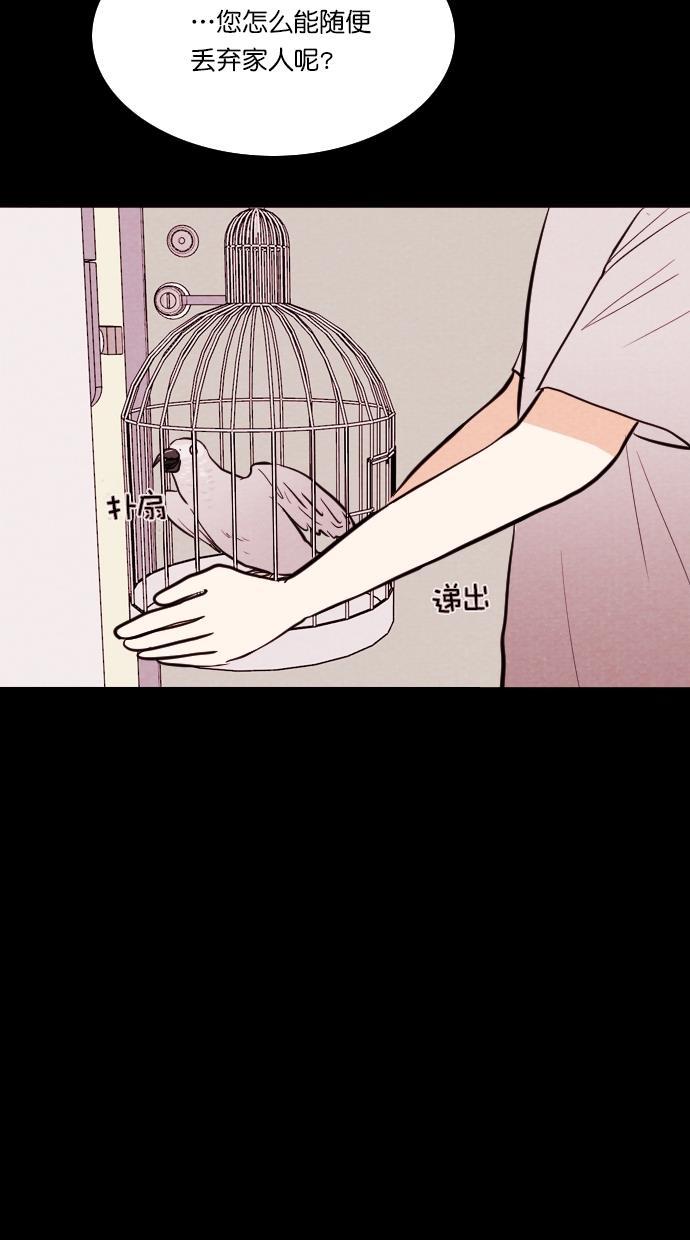 代价贩卖机韩漫全集-[第84话] 鹦鹉人（4）无删减无遮挡章节图片 