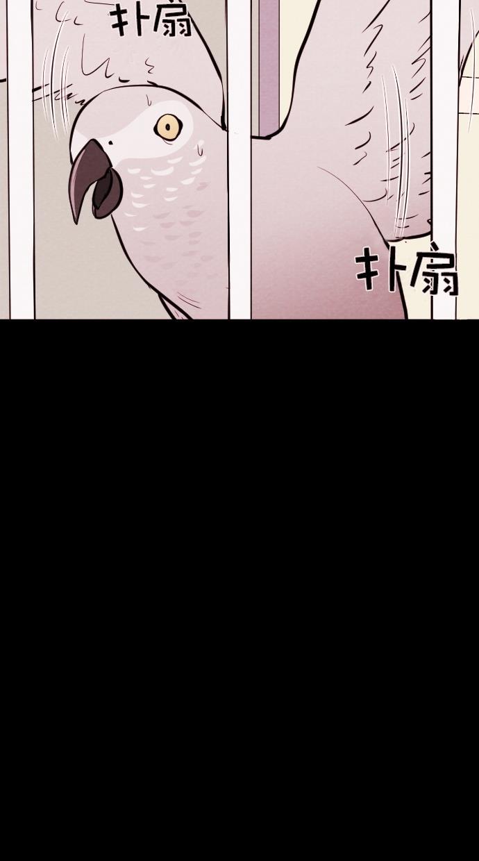 代价贩卖机韩漫全集-[第84话] 鹦鹉人（4）无删减无遮挡章节图片 