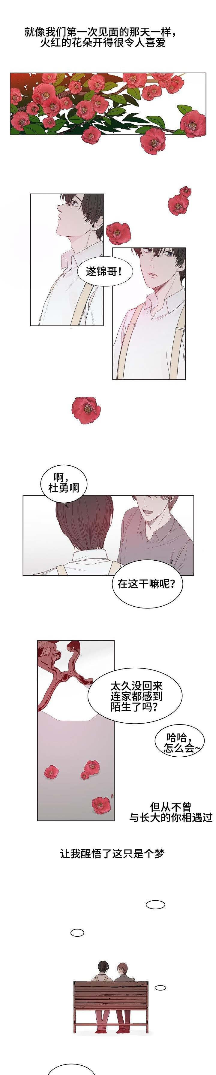 杀戮天使漫画韩漫全集-1_1话无删减无遮挡章节图片 