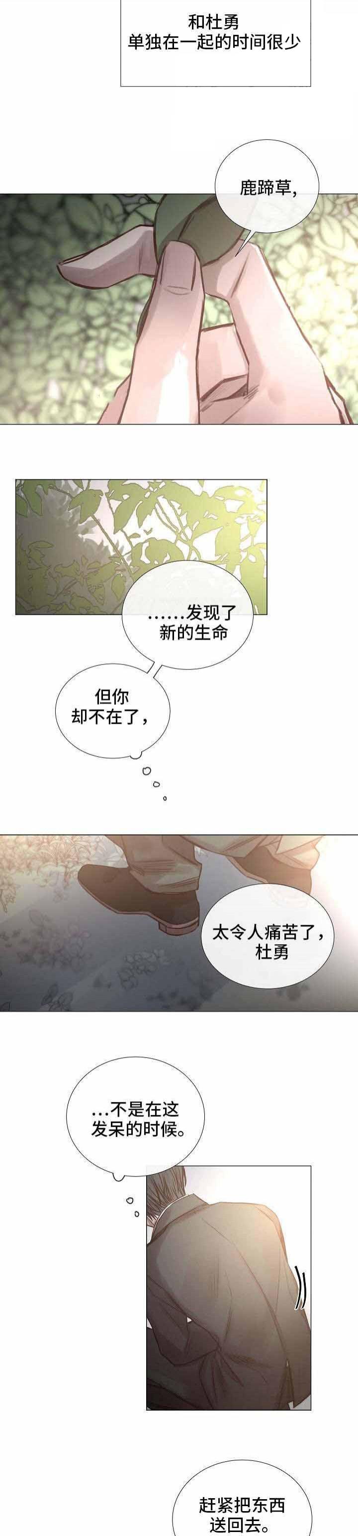 杀戮天使漫画韩漫全集-52_52话 无删减无遮挡章节图片 