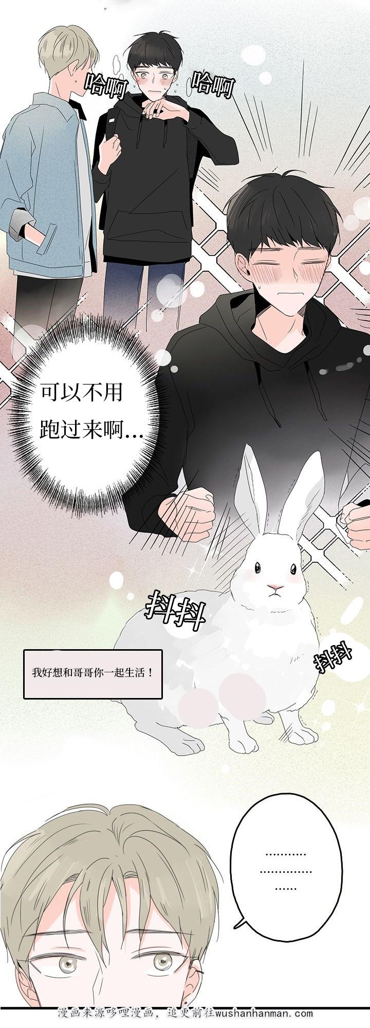妖妖小精漫画韩漫全集-20_安抚无删减无遮挡章节图片 