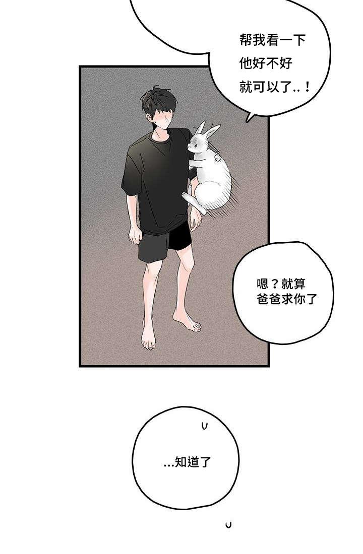 妖妖小精漫画韩漫全集-39_意外的碰面无删减无遮挡章节图片 