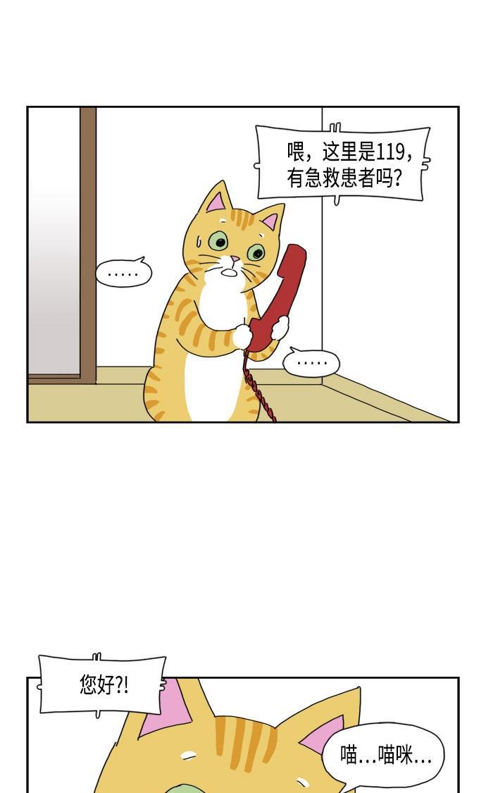 死神漫画547韩漫全集-第51话无删减无遮挡章节图片 