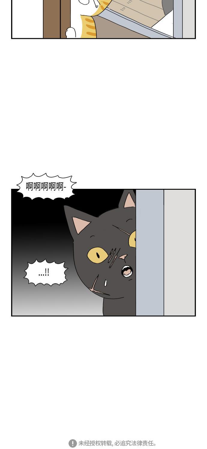 死神漫画547韩漫全集-第50话无删减无遮挡章节图片 
