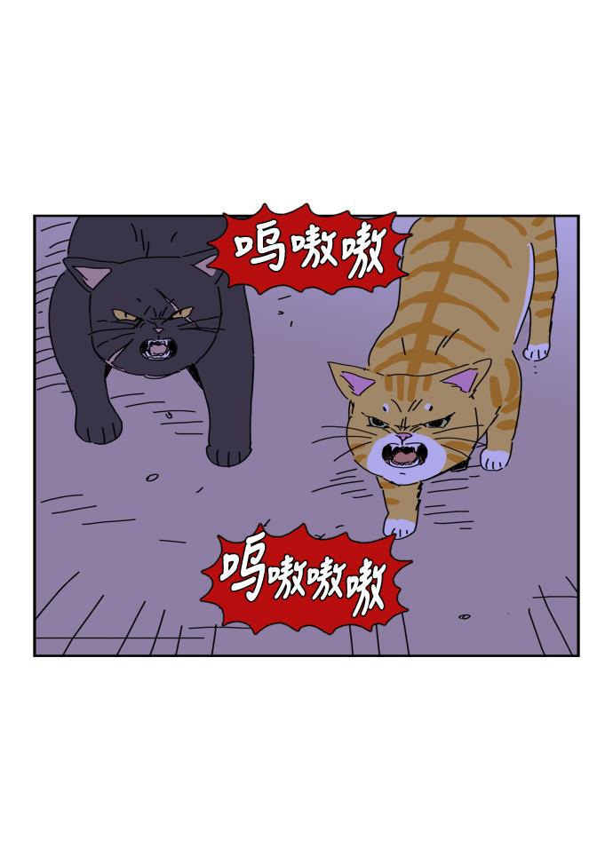 死神漫画547韩漫全集-第70话无删减无遮挡章节图片 