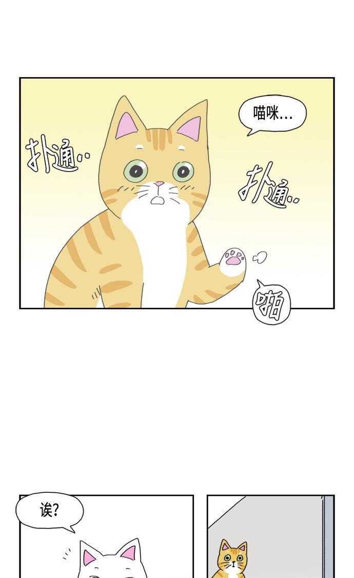 死神漫画547韩漫全集-第79话无删减无遮挡章节图片 