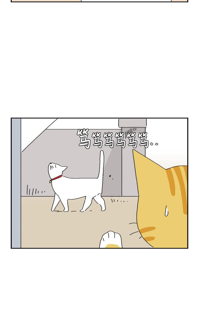 死神漫画547韩漫全集-第79话无删减无遮挡章节图片 