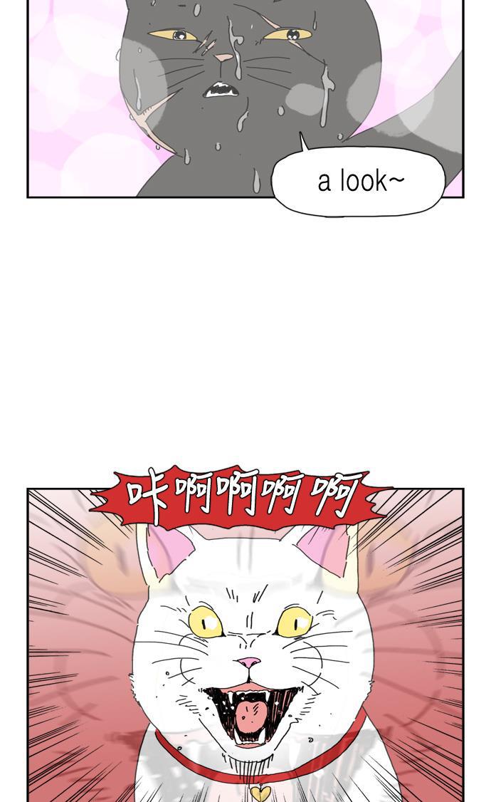 死神漫画547韩漫全集-第79话无删减无遮挡章节图片 