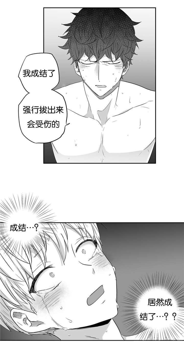 星辰变漫画韩漫全集-21_释放我的费尔蒙无删减无遮挡章节图片 