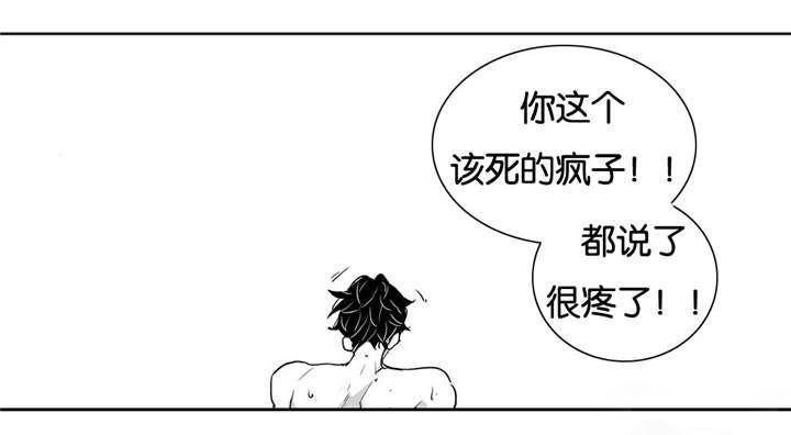 星辰变漫画韩漫全集-21_释放我的费尔蒙无删减无遮挡章节图片 