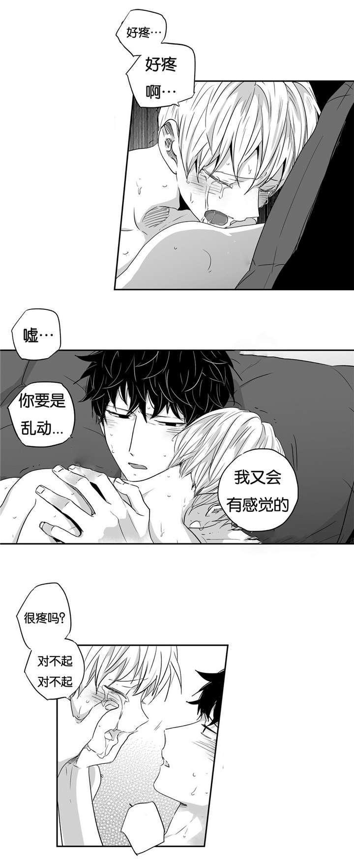 星辰变漫画韩漫全集-21_释放我的费尔蒙无删减无遮挡章节图片 