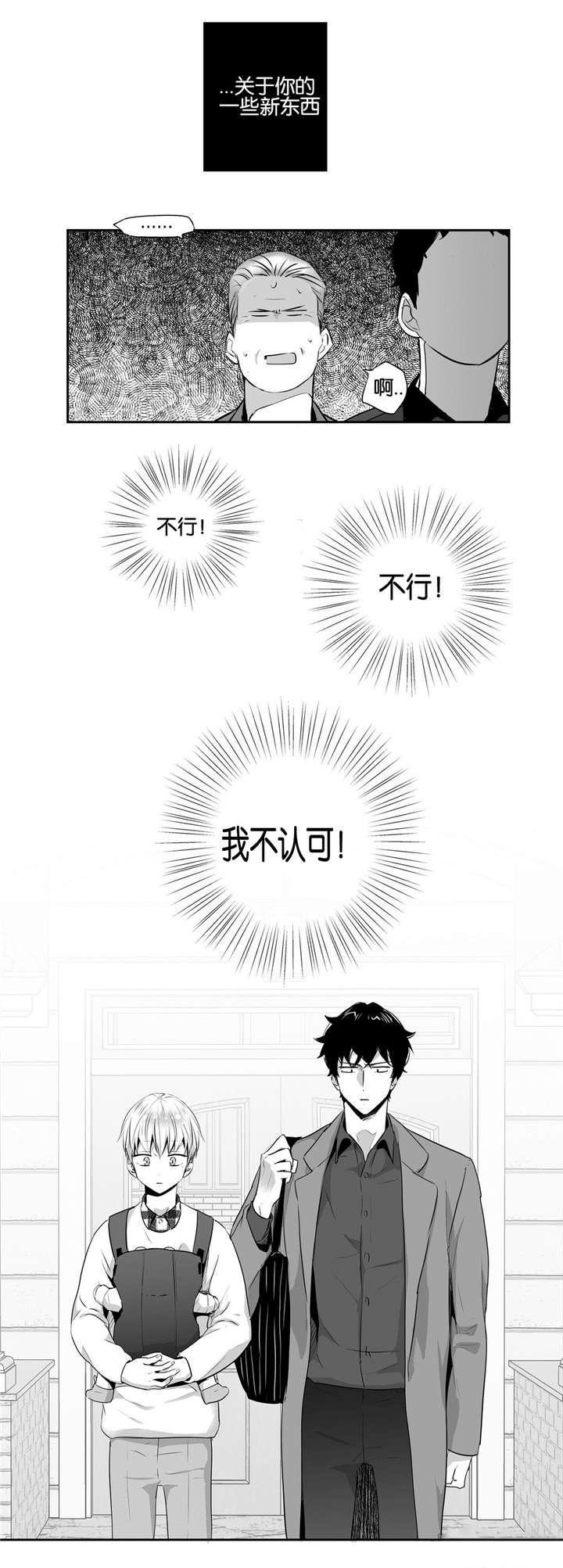 星辰变漫画韩漫全集-53_求婚（完）无删减无遮挡章节图片 