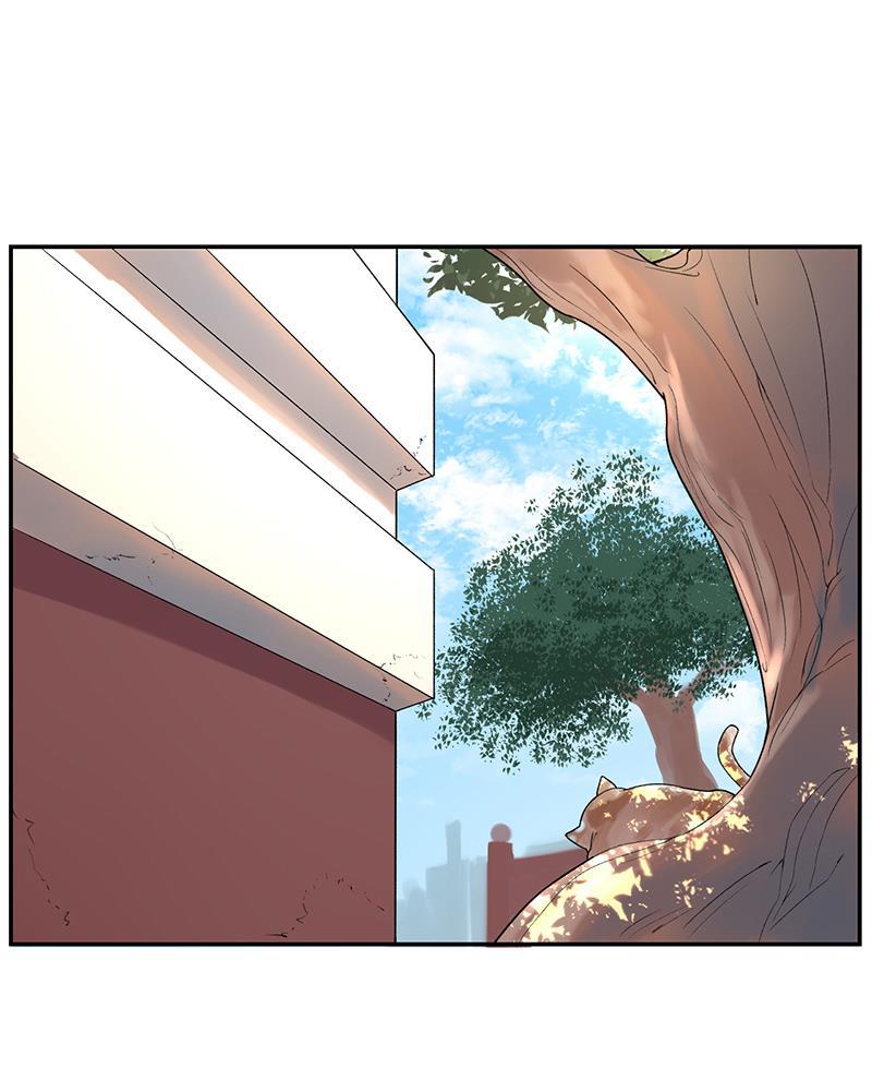 火影忍者漫画683韩漫全集-第3话无删减无遮挡章节图片 