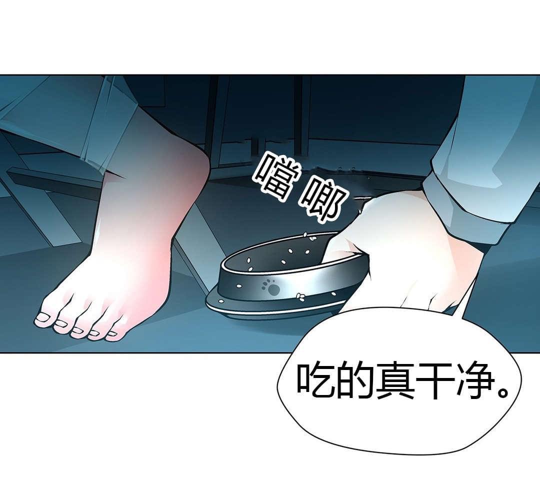 恶灵骑士漫画韩漫全集-第52话无删减无遮挡章节图片 