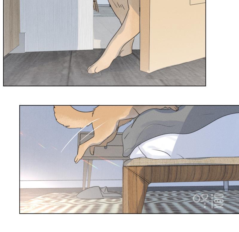 女装正太漫画韩漫全集-春节番外篇（上）无删减无遮挡章节图片 