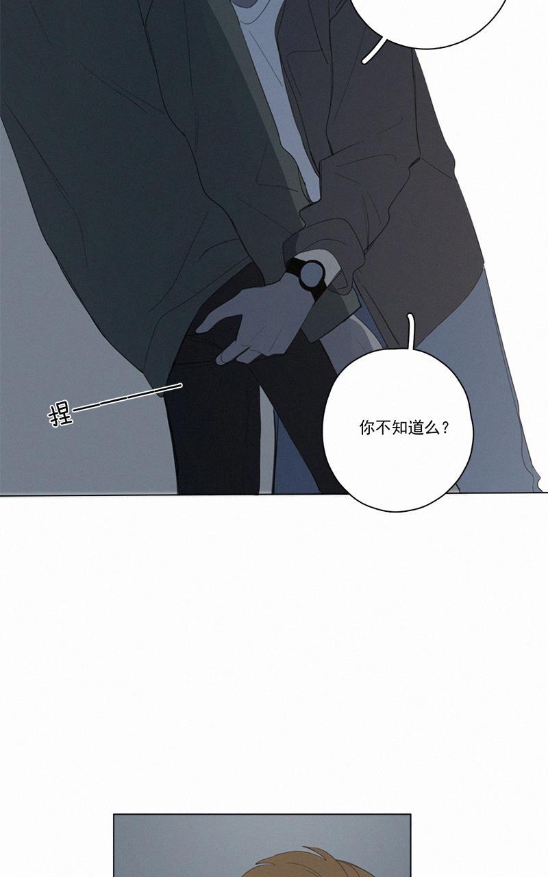 女装正太漫画韩漫全集-第47话无删减无遮挡章节图片 